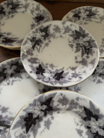 Bryonia borden met gouden randje