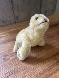 Baby zeehondje Steiff
