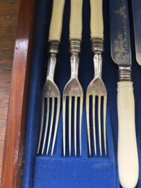 Cassette met 12 vorken en messen