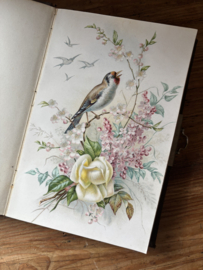 Poesie album 1891