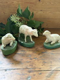 Drie schapen gips