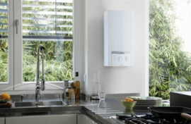 Doorstromer 11L Vaillant AtmoMag Z 114