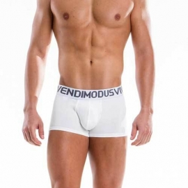 Modus Vivendi Doordeweekse Boxer Wit