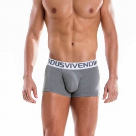 Modus Vivendi Doordeweekse Boxer Grijs