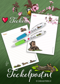 Love Teckels RUWHAAR Pen LICHTGROEN