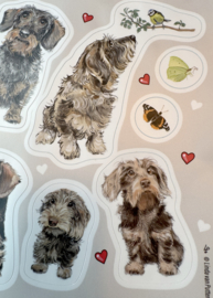 2 Stickervellen LOVE TECKELS RUWHAAR A5