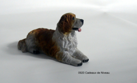 Rashond, St.Bernard liggend 14 x 7