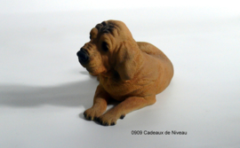 Rashond, Labradoor liggend 17 x 15