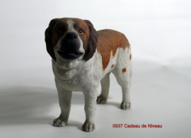 Rashond, St.Bernard, staand 18 x 15