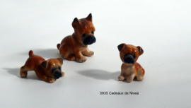 Rashond, Boxer set met 2 pups 4,5 x 4,5