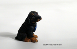 Rashondjes , pup 6 cm hoog