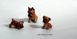 Rashond, Boxer set met 2 pups 4,5 x 4,5