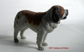Rashond, St.Bernard, staand 18 x 15