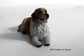 Rashond, St.Bernard liggend 14 x 7