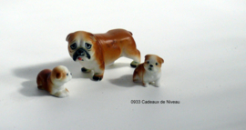 Rashond met pups per stel 6 x 3,5 (groot)