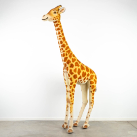502309 Giraffe Steiff  255cm.