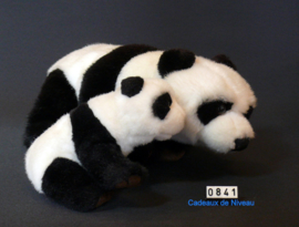 Pandabeer met jong materiaal Pluce
