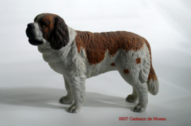 Rashond, St.Bernard, staand 18 x 15
