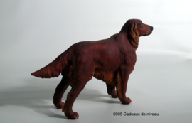 Rashond, Setter, staand 19 x 15