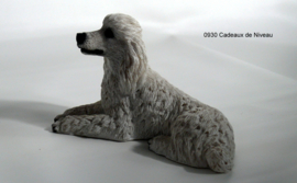 Rashond, Poedel liggend 16 x10
