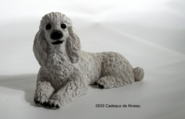 Rashond, Poedel liggend 16 x10