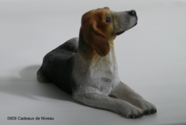 Rashond, liggend 14x 10