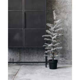 HOUSE DOCTOR KERSTBOOM LED FLOCKED