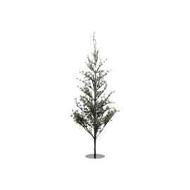 HOUSE DOCTOR KERSTBOOM LED