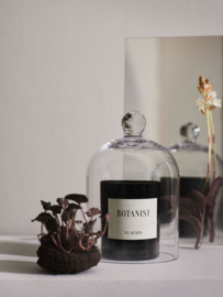 TMM SCENTED CANDLE BOTANIST