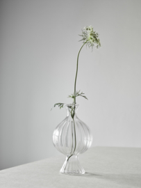 COMO VAASJE RIPPLE M