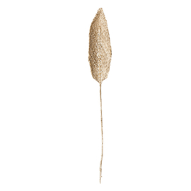 UNC FLOWER PLANTA DE PRAIA