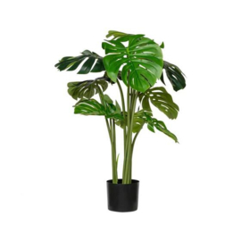 Pottery pots artificial Monstera L