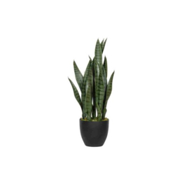 Pottery Pots artificial Sansevieria S 