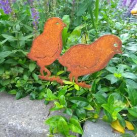 2 kuikens (polonaise) op stekertje Roestijzer