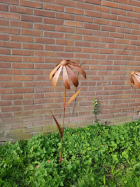 Enkele Echinacea  3D op tuinsteker met bladeren roestijzer