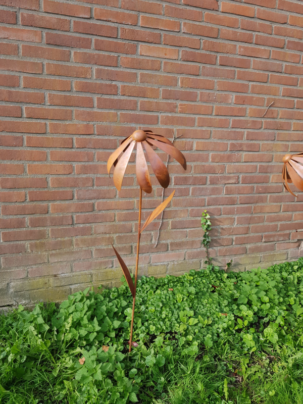 Enkele Echinacea  3D op tuinsteker met bladeren roestijzer