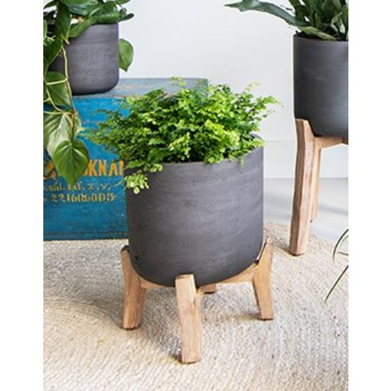 Pottery Pots Charlie Feet Low  Black Washed L
