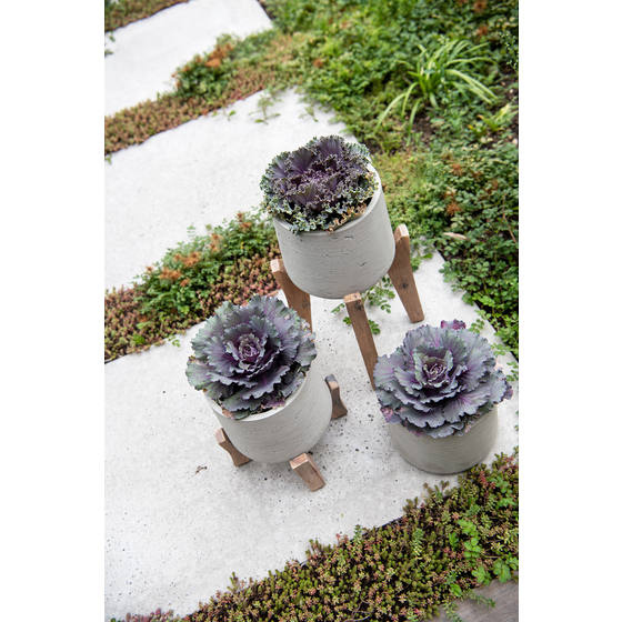 Pottery Pots Charlie Feet High Grey Washed L