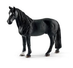 hongre Tennessee walker 13832