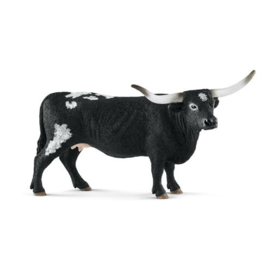 Texas longhorn vache 13865 18
