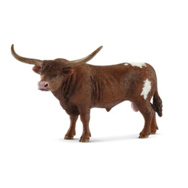 Texas longhorn taureau 13866 18