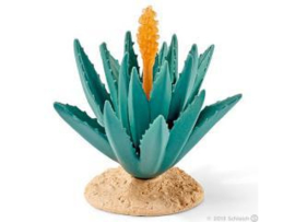 agave 42243