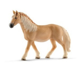 Haflinger jument 13812