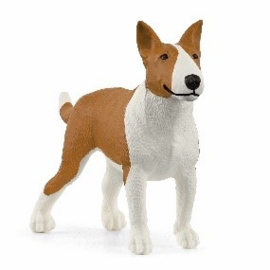 Bull terrier 13966