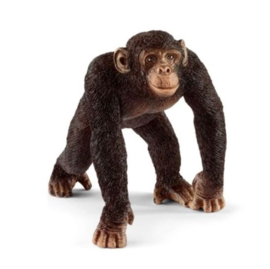 chimpanzé male 14817 18