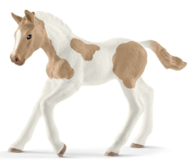 paint horse poulain 13886