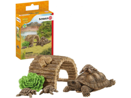 schildpad met huis 42506