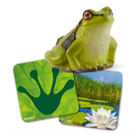 cartes d'apprentissage vie sauvage 42474