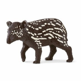 jeune tapir 14851