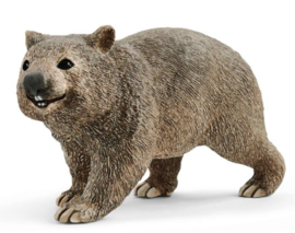 wombat 14834